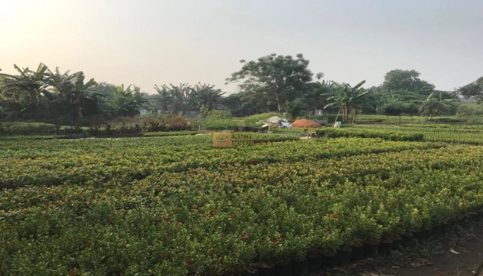 Bodetabek Dibawah Harga Pasar, Tanah Karang Tengah 8.300m2 Tangerang SHM 1 1