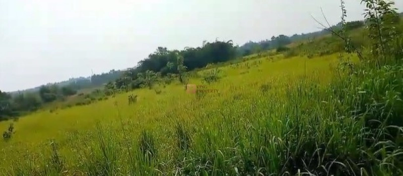 Bodetabek Strategis, Tanah Kavling Kawasan Kebun Jati Tiga Raksa 4000m2 10 10
