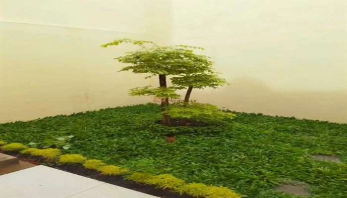 Jakarta Barat Dijual Rumah Kemanggisan Ilir 2 Lantai Dekat Binus & Central Park  11 10