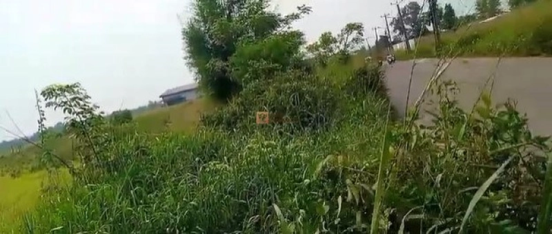 Bodetabek Strategis, Tanah Kavling Kawasan Kebun Jati Tiga Raksa 4000m2 11 11