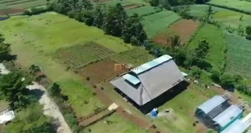 Bodetabek Investasi Berjangka, Dijual Tanah Bogor Ciampea Luas 6 Hectar 12 12