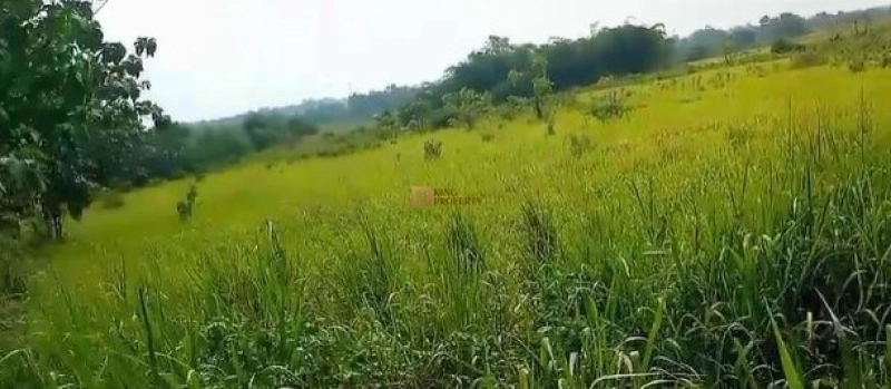 Bodetabek Strategis, Tanah Kavling Kawasan Kebun Jati Tiga Raksa 4000m2 12 12