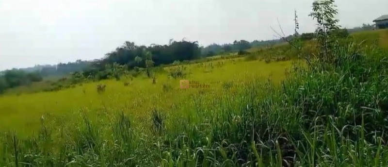 Bodetabek Strategis, Tanah Kavling Kawasan Kebun Jati Tiga Raksa 4000m2 13 13