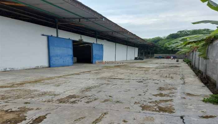 Lainnya Lahan Produktif, Gudang Usaha Siap Pakai Desa Sialang, Harga Bersahabat 19 19