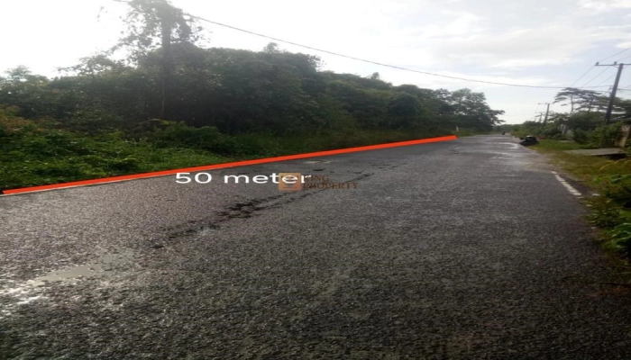 Lainnya   Lahan Luas 1,25 Ha di Air Bulo, Belitung Prospek Emas untuk Developer & Investor! 2 2