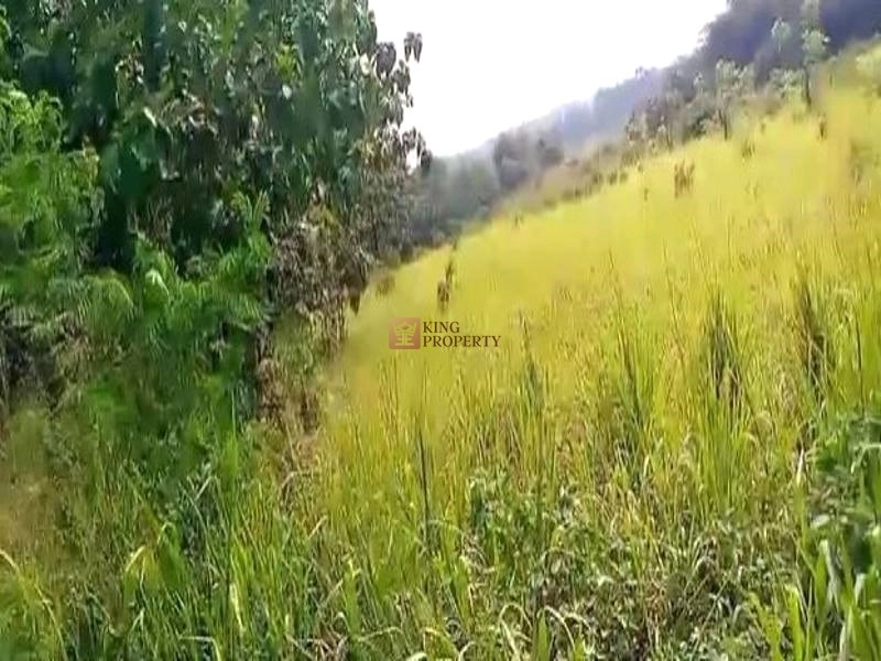 Bodetabek Strategis, Tanah Kavling Kawasan Kebun Jati Tiga Raksa 4000m2 2 2