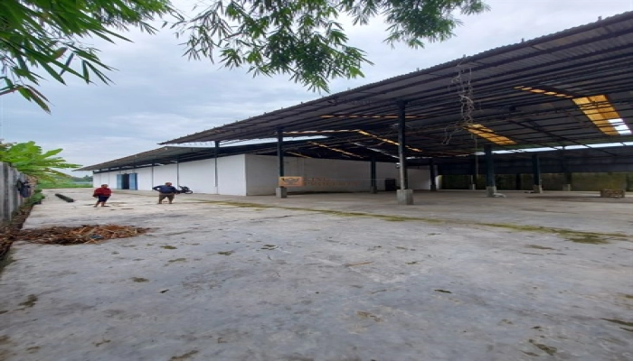 Lainnya Lahan Produktif, Gudang Usaha Siap Pakai Desa Sialang, Harga Bersahabat 28 28