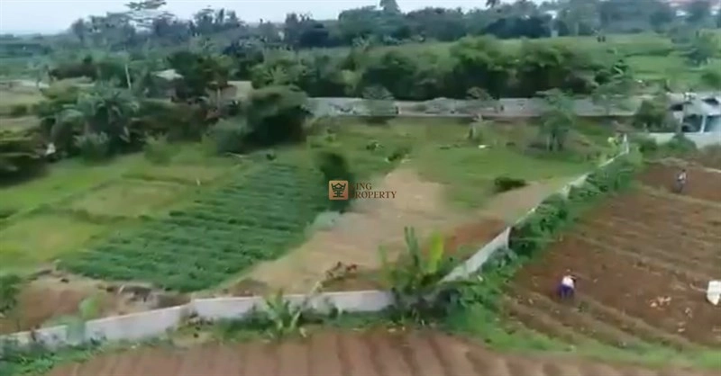 Bodetabek Investasi Berjangka, Dijual Tanah Bogor Ciampea Luas 6 Hectar 4 3