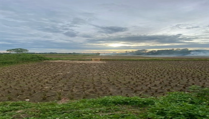 Bodetabek Harga Nego, Dijual Tanah Padat Sawah Legok 935m2, Tangerang, Banten 3 3