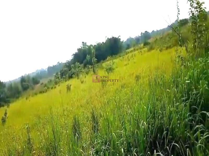 Bodetabek Strategis, Tanah Kavling Kawasan Kebun Jati Tiga Raksa 4000m2 3 3