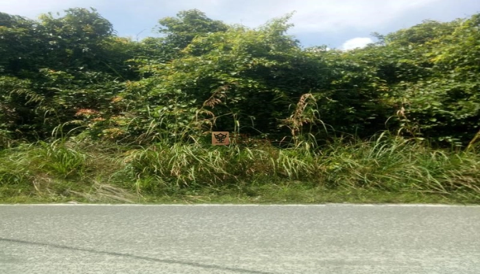 Lainnya   Lahan Luas 1,25 Ha di Air Bulo, Belitung Prospek Emas untuk Developer & Investor! 3 3