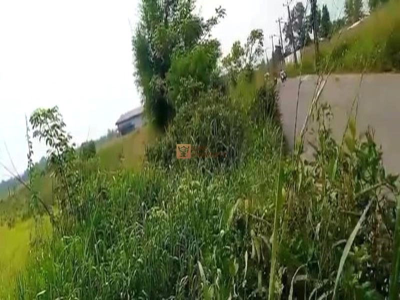 Bodetabek Strategis, Tanah Kavling Kawasan Kebun Jati Tiga Raksa 4000m2 4 4