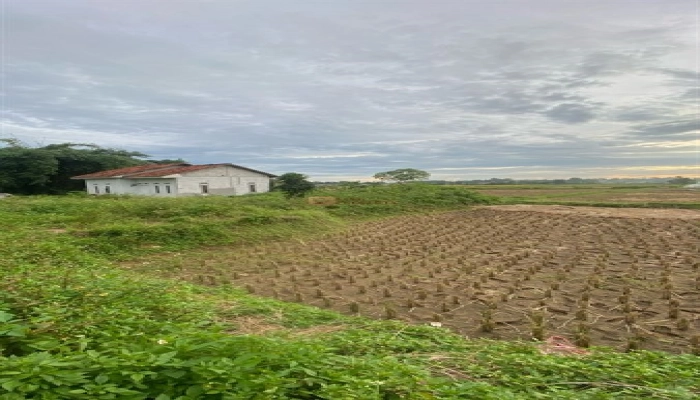 Bodetabek Harga Nego, Dijual Tanah Padat Sawah Legok 935m2, Tangerang, Banten 4 4