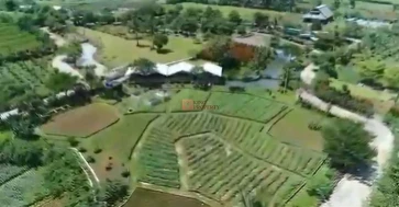 Investasi Berjangka Dijual Tanah Bogor Ciampea Luas 6 Hectar