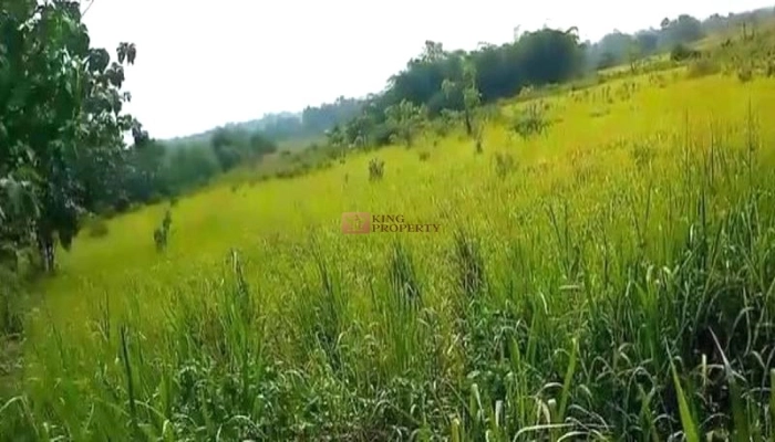 Bodetabek Strategis, Tanah Kavling Kawasan Kebun Jati Tiga Raksa 4000m2 5 5