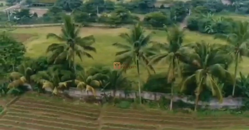 Bodetabek Investasi Berjangka, Dijual Tanah Bogor Ciampea Luas 6 Hectar 6 5