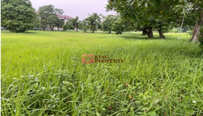 Jakarta Selatan Cocok Semua Usaha Dijual Kavling Lahan Kosong 24.256m Pasar Minggu   6 5_the_middle