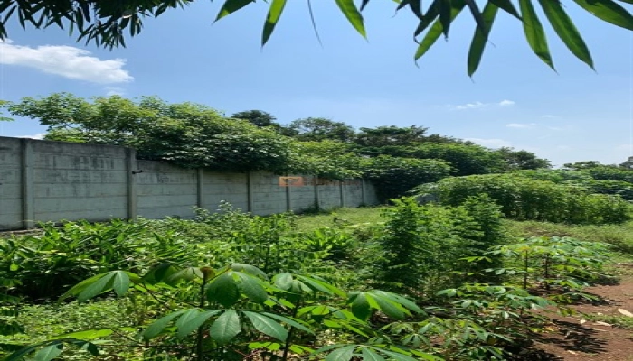 Bodetabek Lokasi Strategis, Dekat SMAN 1 Cikeusal, Tanah Cikeusal 9013m2 SHM<br><br> 5 6