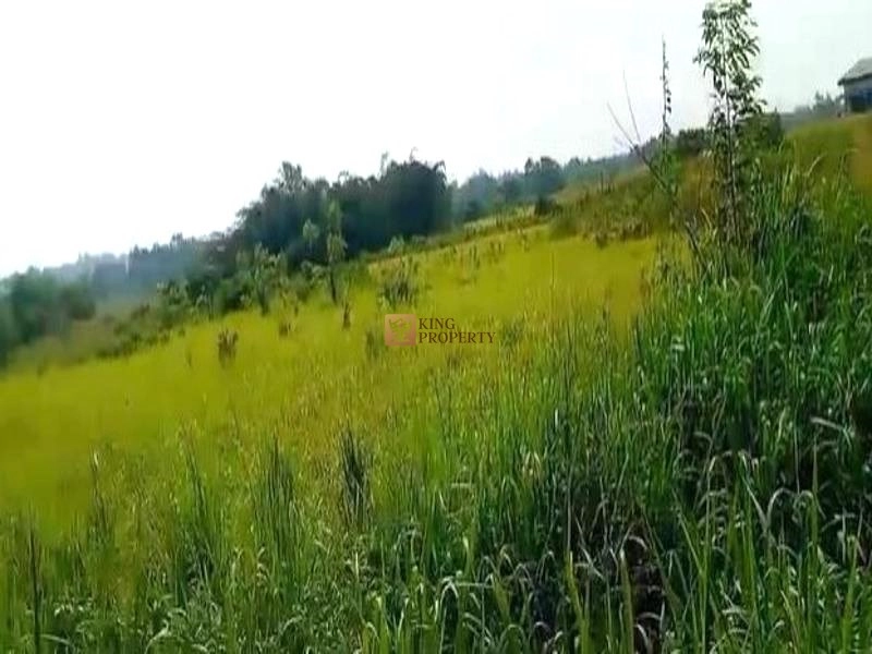 Bodetabek Strategis, Tanah Kavling Kawasan Kebun Jati Tiga Raksa 4000m2 6 6