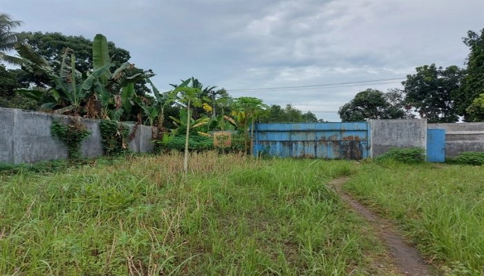 Lainnya Lahan Produktif, Gudang Usaha Siap Pakai Desa Sialang, Harga Bersahabat 6 6