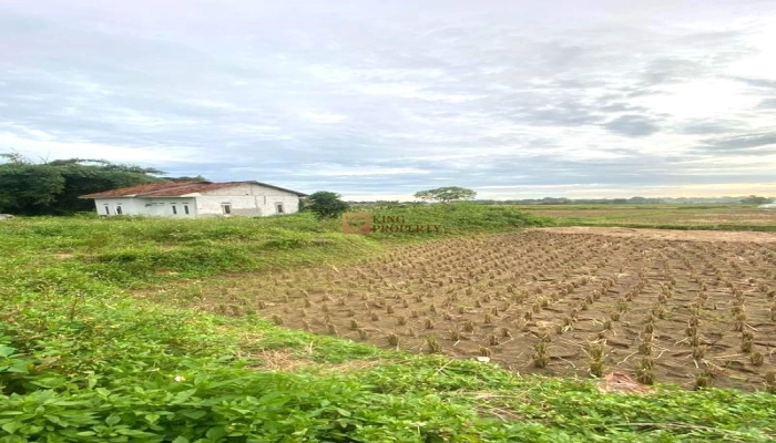 Bodetabek Harga Nego, Dijual Tanah Padat Sawah Legok 935m2, Tangerang, Banten 6 6