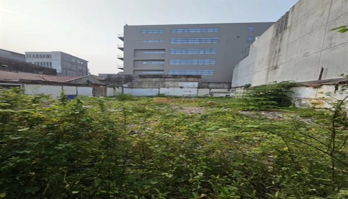 Jakarta Pusat Lokasi Premium! Tanah Ngantong SHM di Cideng, Ideal untuk Hunian 15 6