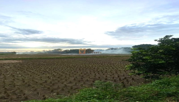 Bodetabek Harga Nego, Dijual Tanah Padat Sawah Legok 935m2, Tangerang, Banten 7 7