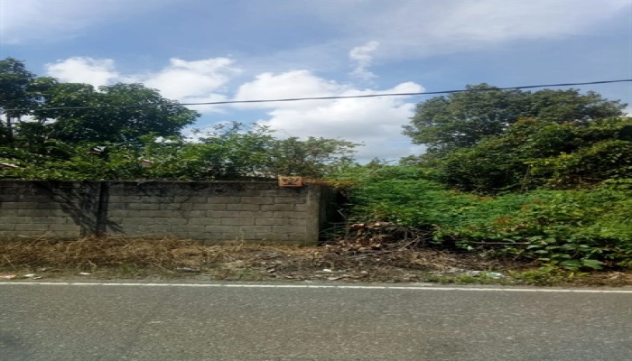 Lainnya   Lahan Luas 1,25 Ha di Air Bulo, Belitung Prospek Emas untuk Developer & Investor! 7 7a00d9be_7f92_4864_9309_c8d66c2eb6e3