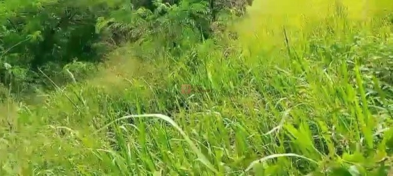 Bodetabek Strategis, Tanah Kavling Kawasan Kebun Jati Tiga Raksa 4000m2 8 8