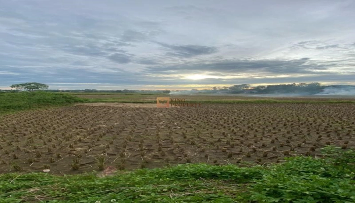 Bodetabek Harga Nego, Dijual Tanah Padat Sawah Legok 935m2, Tangerang, Banten 8 8