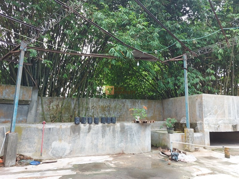 Lainnya Lahan Produktif, Gudang Usaha Siap Pakai Desa Sialang, Harga Bersahabat 9 9