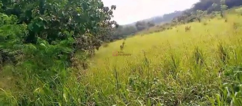 Bodetabek Strategis, Tanah Kavling Kawasan Kebun Jati Tiga Raksa 4000m2 9 9