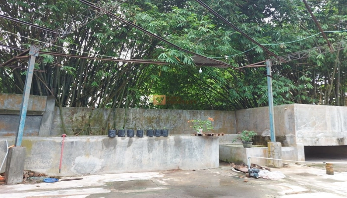 Lainnya Lahan Produktif, Gudang Usaha Siap Pakai Desa Sialang, Harga Bersahabat 9 9