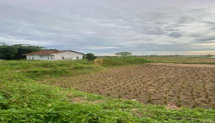 Bodetabek Harga Nego, Dijual Tanah Padat Sawah Legok 935m2, Tangerang, Banten 9 9