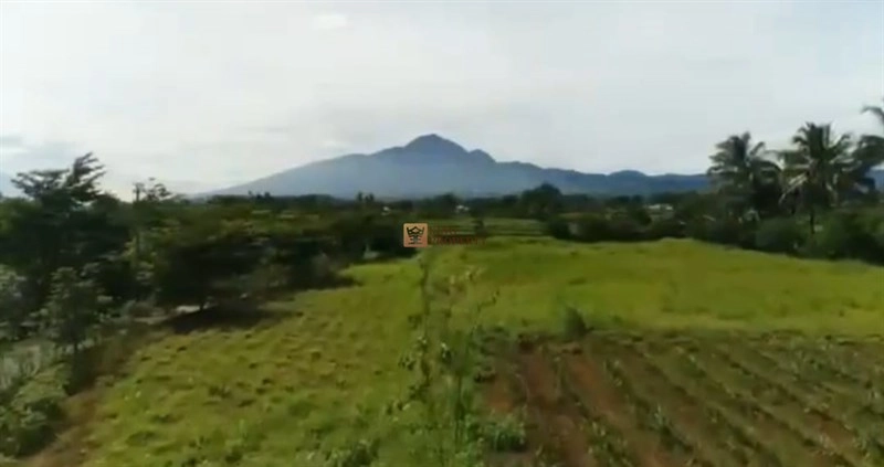 Bodetabek Investasi Berjangka, Dijual Tanah Bogor Ciampea Luas 6 Hectar 9 9