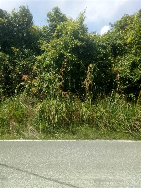 Lainnya   Lahan Luas 1,25 Ha di Air Bulo, Belitung Prospek Emas untuk Developer & Investor! 9 b29f458a_324a_4f3d_b128_4f31f7e2c51f