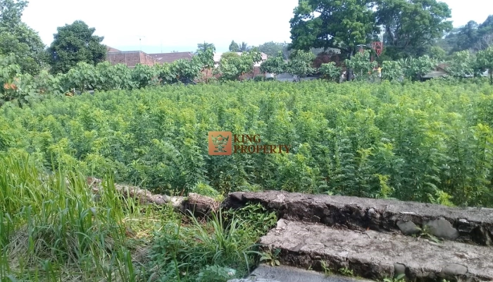 Lainnya Harga Nego! Dijual Kavling Pabrik Sukabumi Bonus Isi SHM 20.570m2 12 img_20240528_wa0036