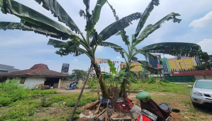 Lainnya Tanah Luas Siap Kembangkan! 2,7 Ha Dekat Tol Jakarta–Cikarang Cocok Untuk Proyek Besar! 2 whatsapp_image_2025_10_29_at_14_00_05